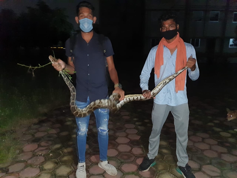 Chhattisgarh News : स्कूल में एक-एक कर गायब हो गई पांच बतख, देखा तो छठी ...