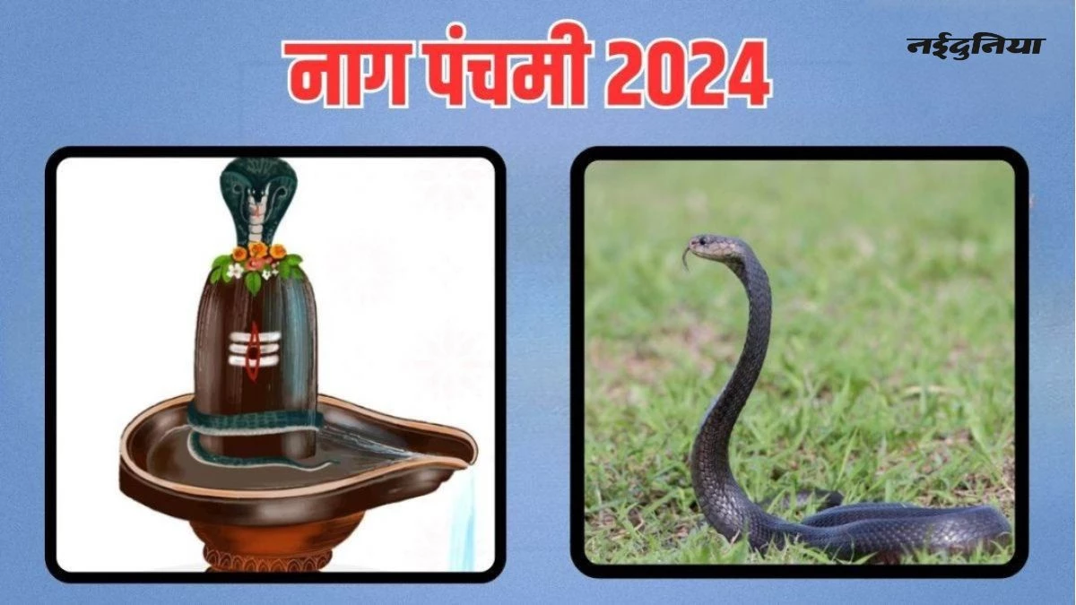 Nag Panchami 2024: हस्त नक्षत्र और सिद्ध योग में मनेगी नागपंचमी, सर्पपूजन से शादी की बाधाएं होंगी खत्म