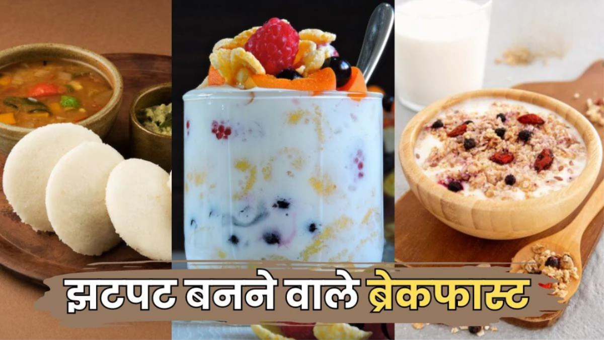 सुबह खाली पेट खाएं ये 5 हेल्दी नाश्ते... बीमारियां रहेंगी कोसों दूर, दिनभर रहेंगे एक्टिव और फिट