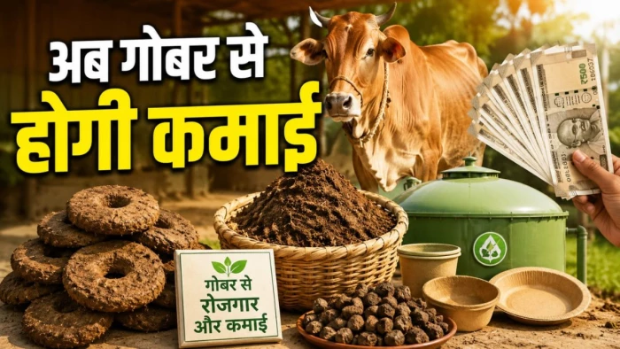 अब गोबर से होगी कमाई... सरकार देगी लोन गारंटी और पाइपलाइन सपोर्ट, जानें क्या है ये पूरी योजना