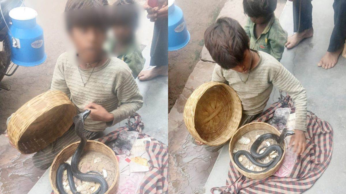 गरीबी या मजबूरी: पन्ना के नौनिहालों के हाथ में कलम की जगह काल, कहां गुम हो गया शिक्षा का अधिकार