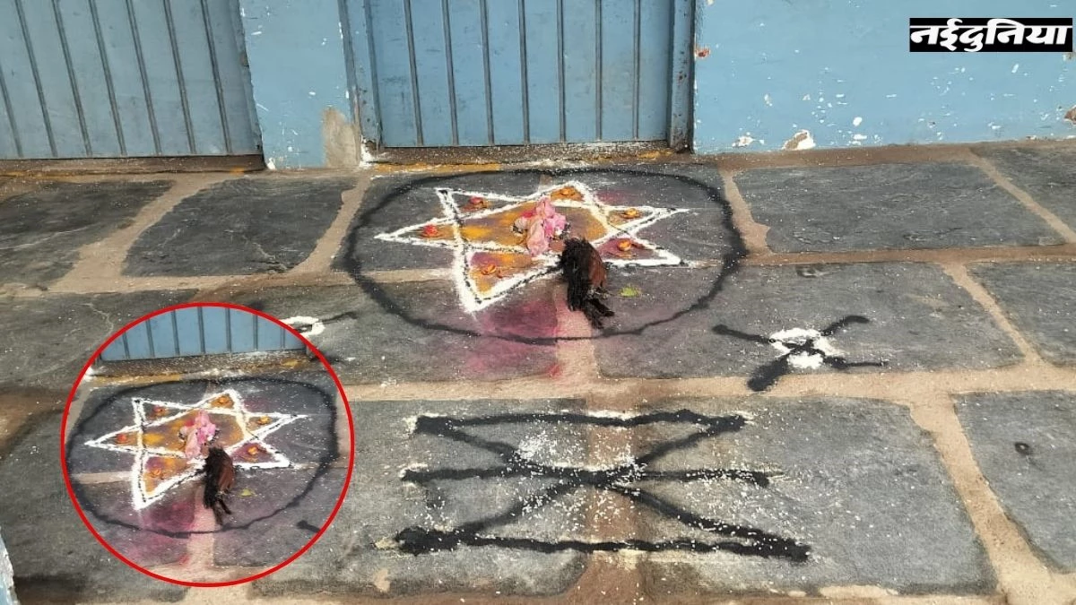 अंधविश्वास : प्रिंसिपल रूम के बाहर मरा पक्षी रखकर जादू-टोना, इधर दहशत में शिक्षकों ने बैगा बुलाकर करवाई झाड़-फूंक