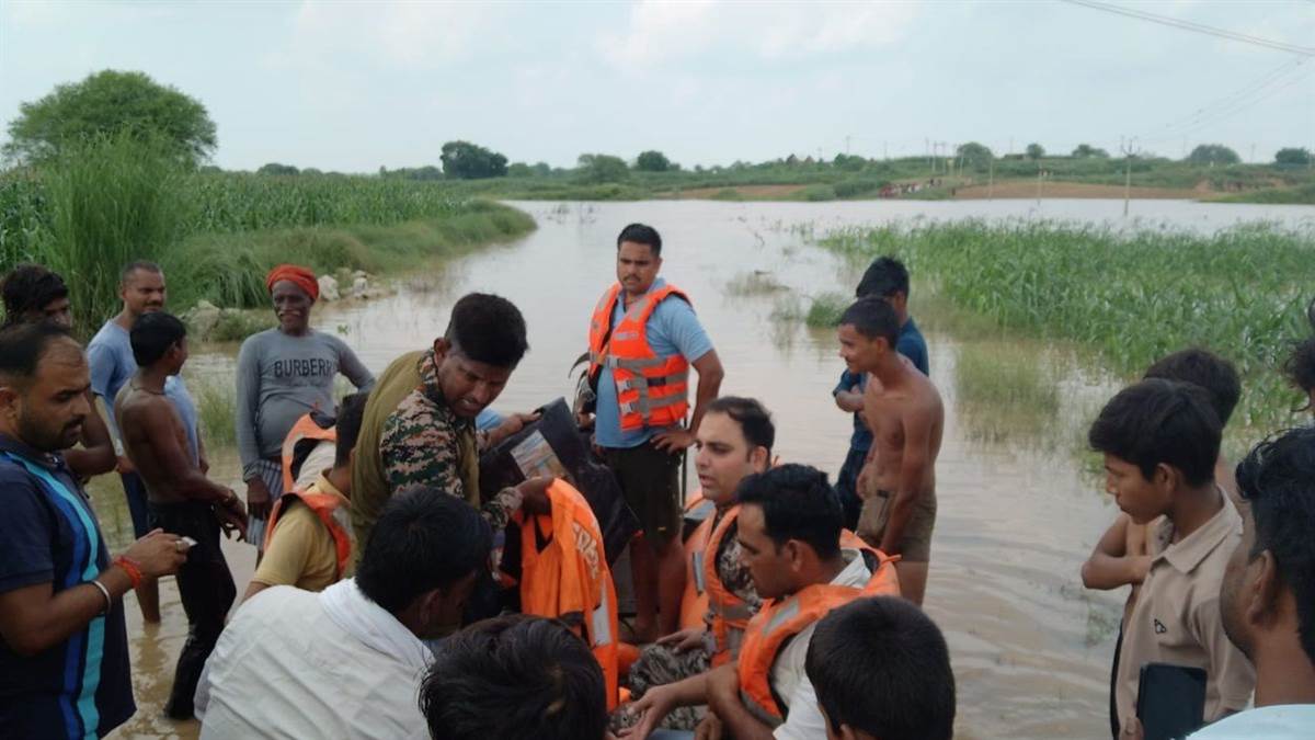 मुरैना में बाढ़ का कहर... नदियों का उफान कम, फसलें डूबीं; रेस्क्यू टीम को लौटाया