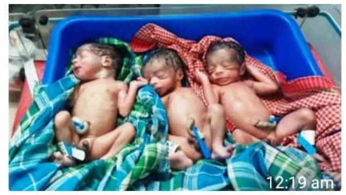 अंबिकापुर से निराश लौटी मां, राजपुर में कुदरत ने बरसाया ऐसा प्यार कि गूंज उठीं तीन किलकारियां