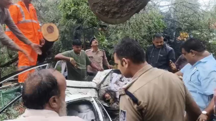 इंदौर में कार पर पेड़ गिरने से डिप्टी कलेक्टर की मां की मौत, डेढ़ घंटे फंसी रहीं बुजुर्ग, परिवार के दो लोग घायल
