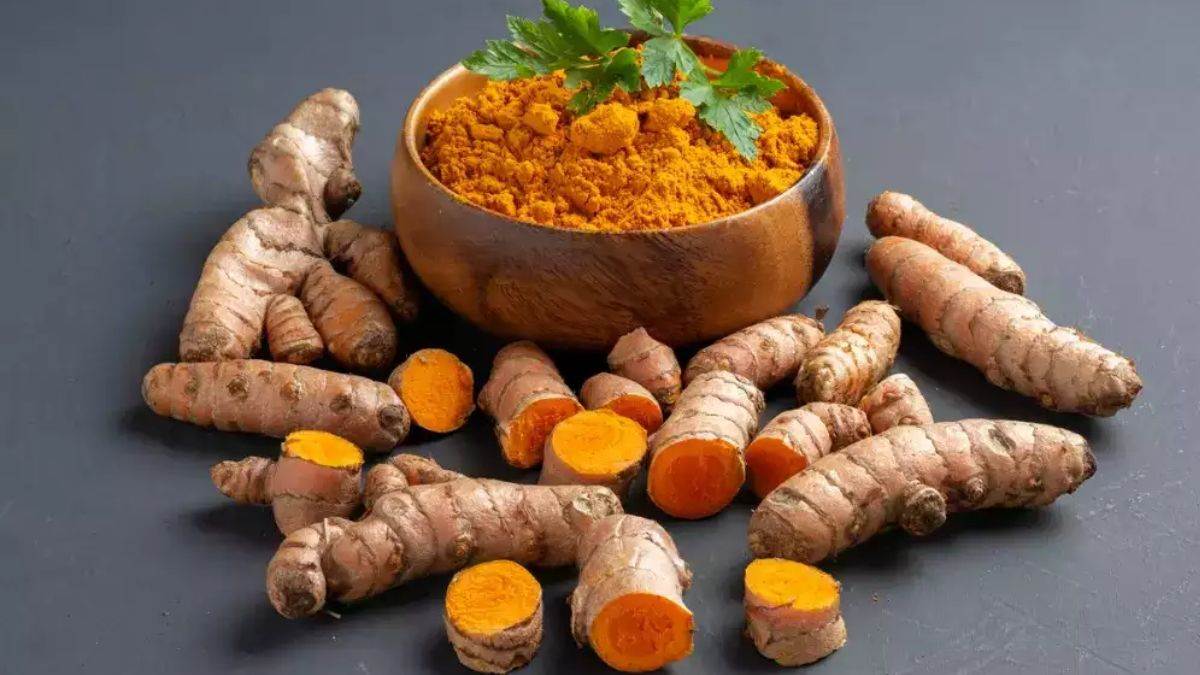 Raw Turmeric Benefits: इम्यूनिटी बढ़ाती है कच्ची हल्दी, बुजुर्गों को इस  बीमारी में काफी फायदेमंद - Raw Turmeric Benefits turmeric increases  immunity very beneficial for the elderly in this ...