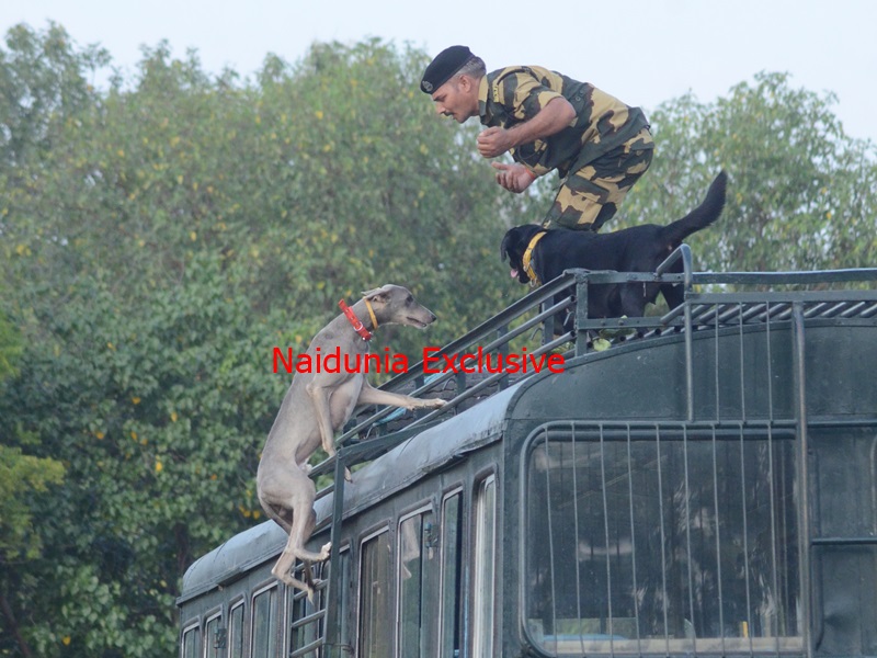 Gwalior BSF News: देश की सीमाओं पर सुरक्षा को लेकर उभरती चुनौतियों पर बीएसएफ अकादमी में सेमिनार आज से