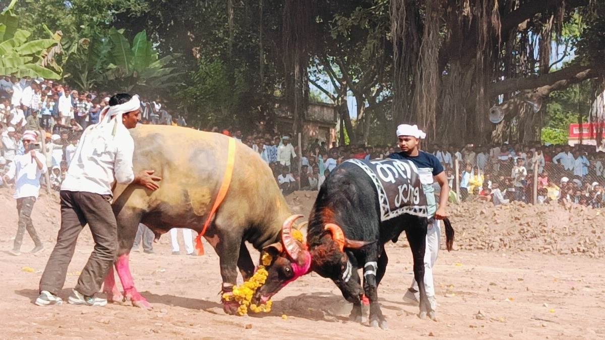 एक साथ 67 लोगों के खिलाफ प्रशासन ने दर्ज किया केस, फिर भी नहीं मान रहे लोग, क्‍या है मामला