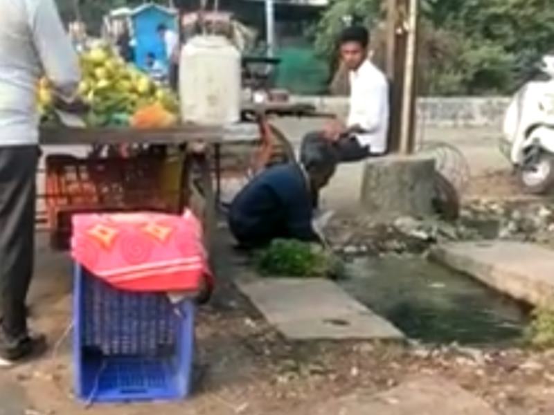 भोपाल में सीवेज के पानी में धुल रही हरी सब्‍जियां, देखिए वीडियो