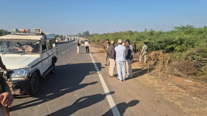 Cheetah in MP: कार की टक्कर से चीते की मौत, ग्वालियर के पास हुआ हादसा