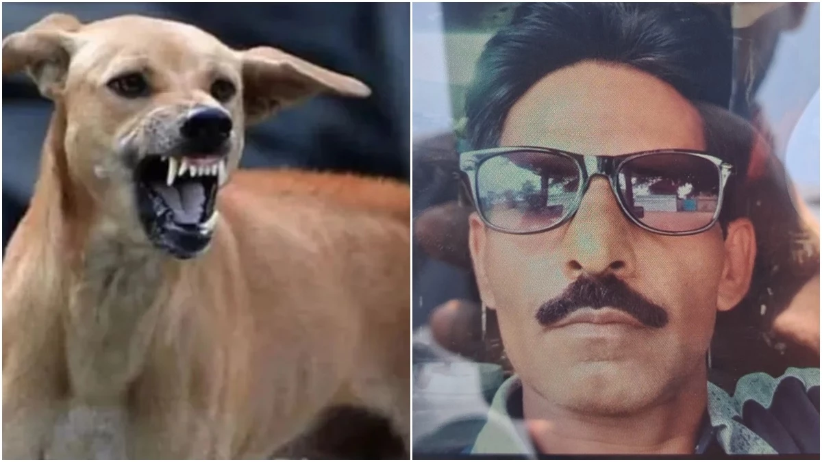 पागल कुत्ते के काटने के बाद लग चुके थे एंटी रेबीज के तीन इंजेक्शन, 15 दिन बाद हो गई मरीज की मौत
