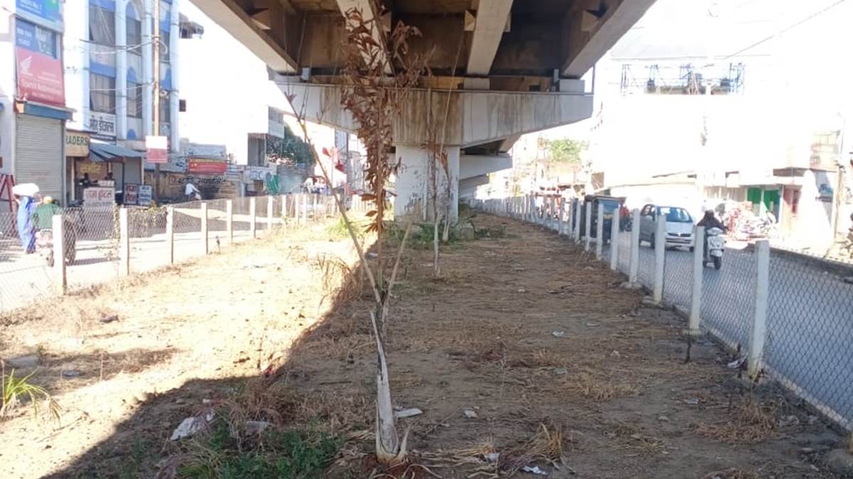 Bilaspur Municipal Corporation News लापरवाही की वजह से चौकचौराहों व