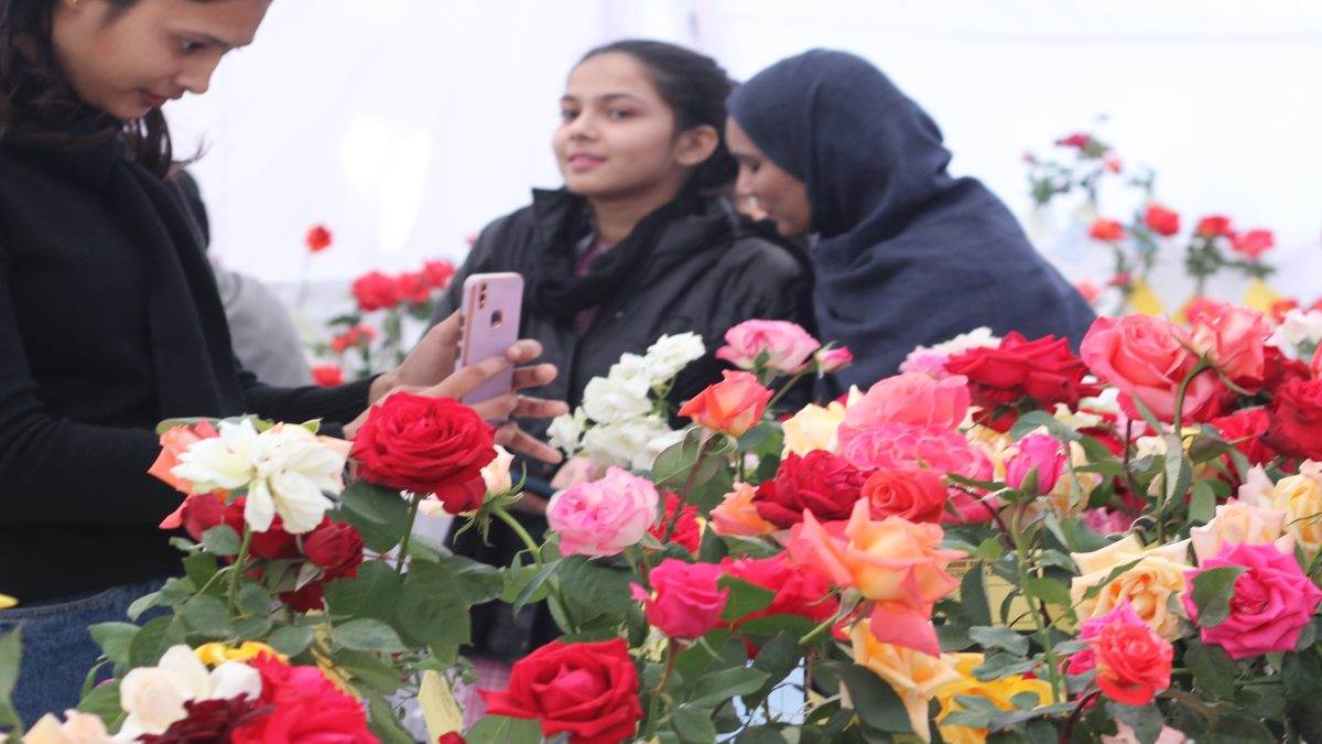 Rose Exhibition in Bhopal गुलाब उद्यान में सजी प्रदर्शनी, छह सौ