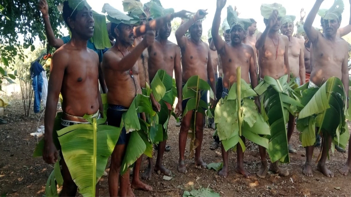 निर्वस्त्र शरीर पर पत्ते लपेट कर आंदोलन करते ये लोग आदिवासी नहीं हैं, MP में दिखा अजीब दृश्‍य, क्‍या है इसकी हकीकत