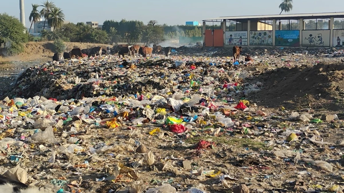 भांग्या पंचायत में खुले में जला रहे कचरा, घरों में घुस रहा जहरीला धुआं