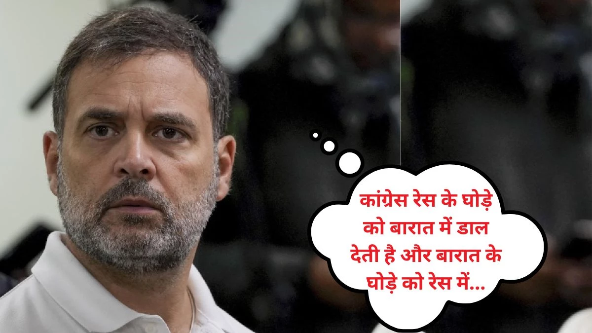 ‘कांग्रेस में कई बब्बर शेर हैं, लेकिन चेन से बंधे हैं… 10-40 नेताओं को बाहर कर देना चाहिए’, गुजरात में अपनी ही पार्टी पर बरसे राहुल गांधी