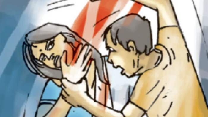 रायपुर में  डॉग रेस्क्यू संस्था की आड़ में गुंडागर्दी का मामला सामने आया, गर्भवती महिला से मारपीट, कुत्ता भी छीना