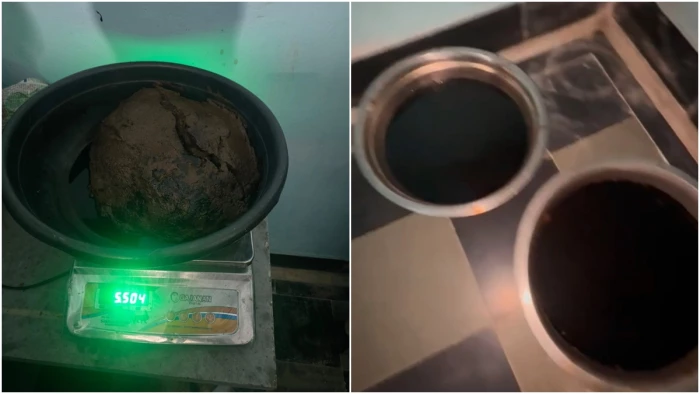चित्तौड़गढ़ में तीन किसानों के पास रिकॉर्ड से 52 किलो ज्यादा मिली अफीम, केंद्रीय नारकोटिक्स ब्यूरो नीमच की टीम ने लिया एक्शन