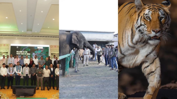 एमपी का पहला वन्यजीव-केंद्रित CSR कॉन्क्लेव, पन्ना में वन विभाग और उद्योग जगत की नई साझेदारी; संरक्षण पर जोर