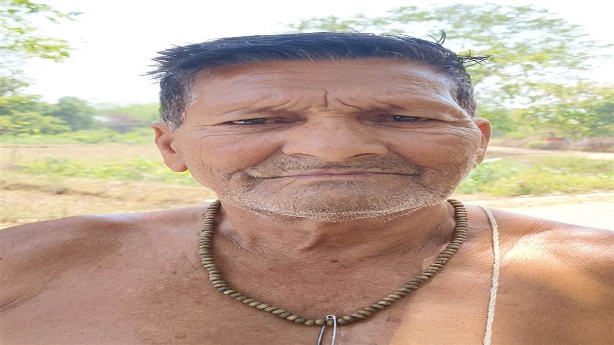 Janjgir-champa News : किसानों को पता नहीं और खेतों से कट रहे पेड़