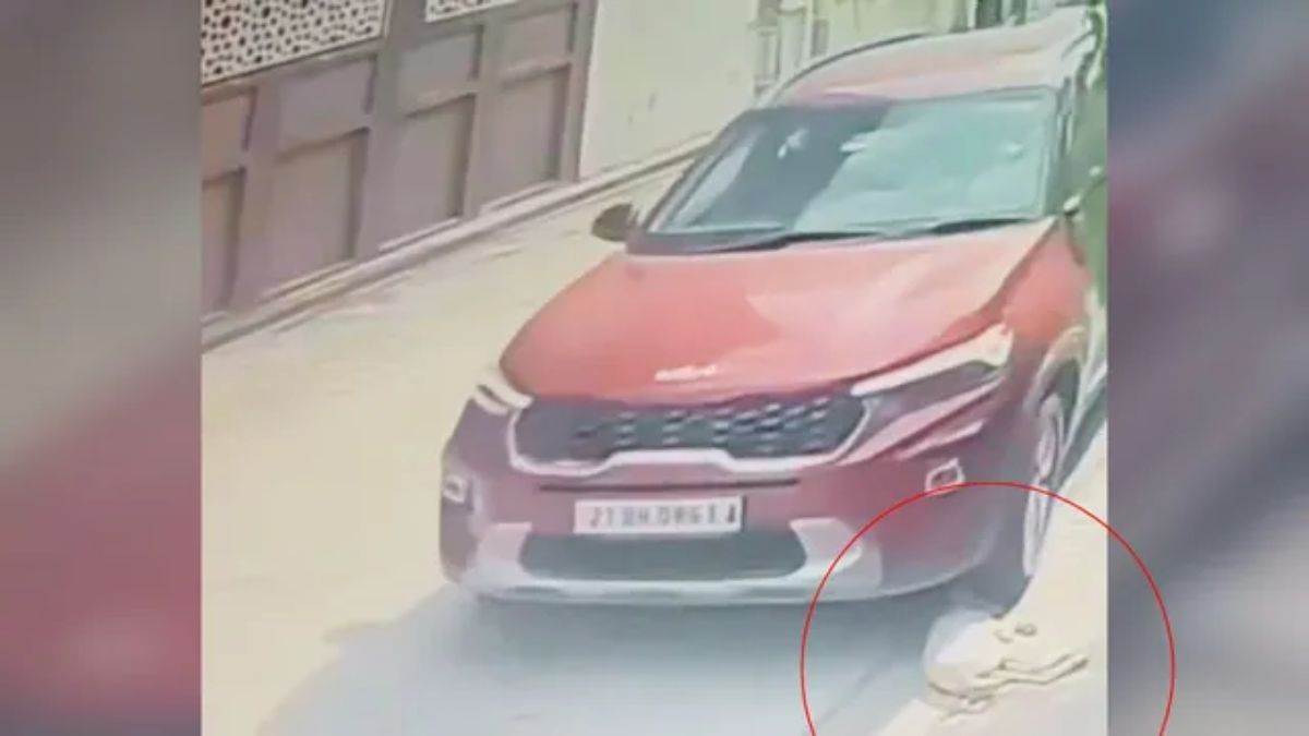 लखनऊ में सड़क किनारे सो रहे कुत्ते पर कई बार चढ़ाई कार, दर्द से तड़पा