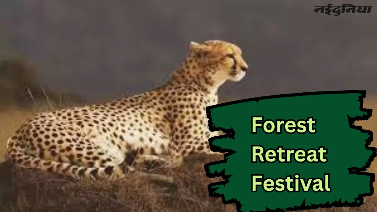 'चीतों के घर' कूनो में होगा Forest Retreat Festival, अंतर्राष्ट्रीय स्तर पर की जाएगी ब्रांडिंग