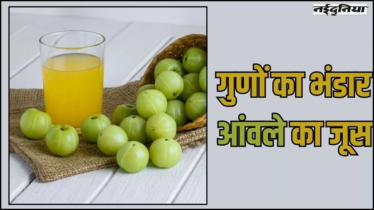 Amla Juice Benefits: सेहत के लिए 'वरदान' से कम नहीं आंवला जूस, रोजाना पीने से मिलेंगे कई चमत्कारी फायदे