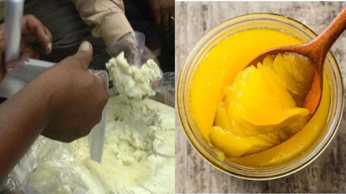 ग्वालियर से भोपाल-इंदौर तक जांची जाएगी घी की शुद्धता, FSSAI ने दिए कड़े निर्देश