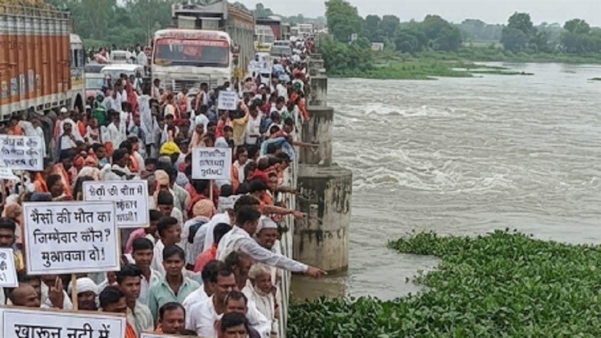 गई भैंसे पानी में: खारून नदी में बह गईं 25 भैंसें, दो की जलकुंभी में फंसकर मौत, बाकी की तलाश जारी, ग्रामीणों का फूटा गुस्सा