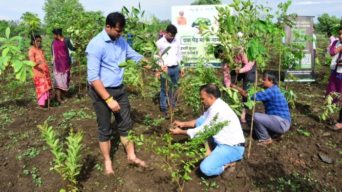 छाएगी हरियाली: एक दिन में 11 हजार पौधे रोपे, अब 10 लाख पौधों से सजेगा हरित उज्जैन