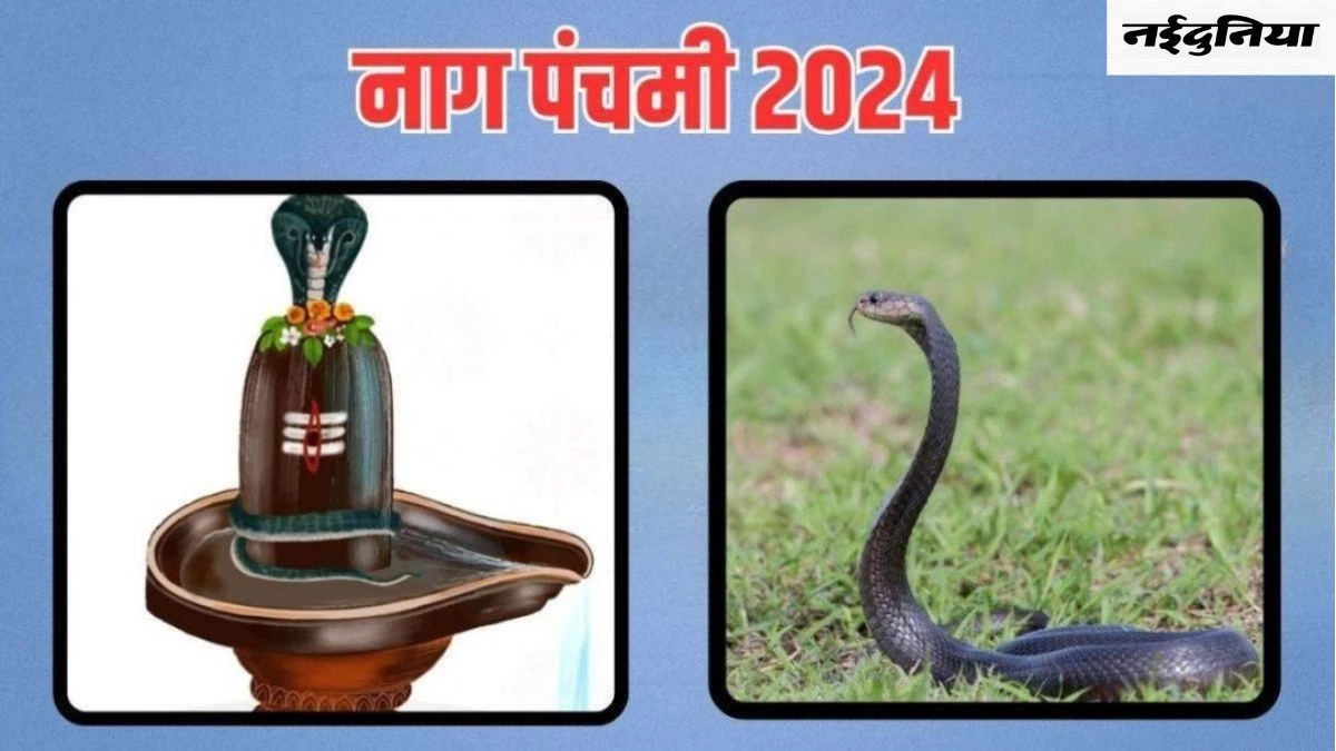 Nag Panchami 2024: कालसर्प और पितृ दोष से छुटकारा पाने के लिए नागपंचमी पर करें उपाय, पढ़ें शुभ मुहूर्त