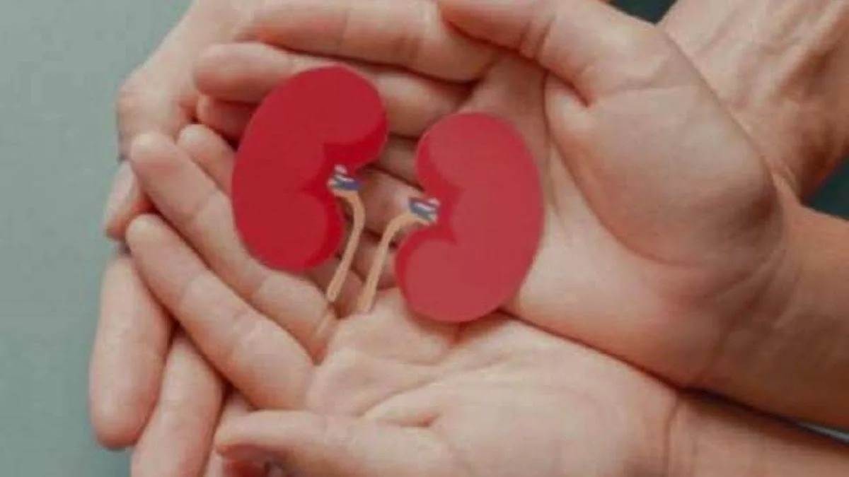 ग्वालियर में ही होगी ऑर्गन ट्रांसप्लांट के लिए सबसे अहम जांच, जीआरएमसी में शुरू होगी एचएलए लैब