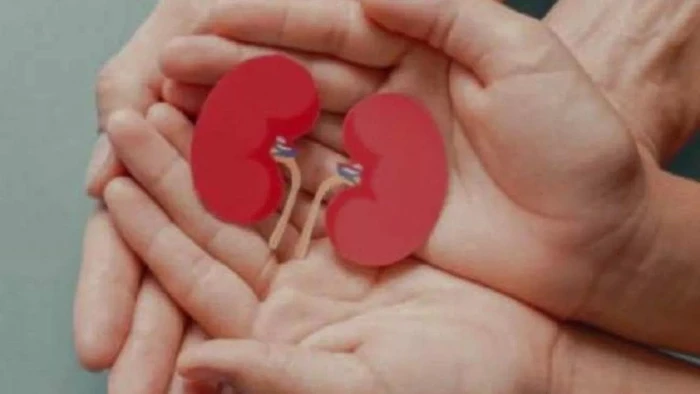 ग्वालियर में ही होगी ऑर्गन ट्रांसप्लांट के लिए सबसे अहम जांच, जीआरएमसी में शुरू होगी एचएलए लैब