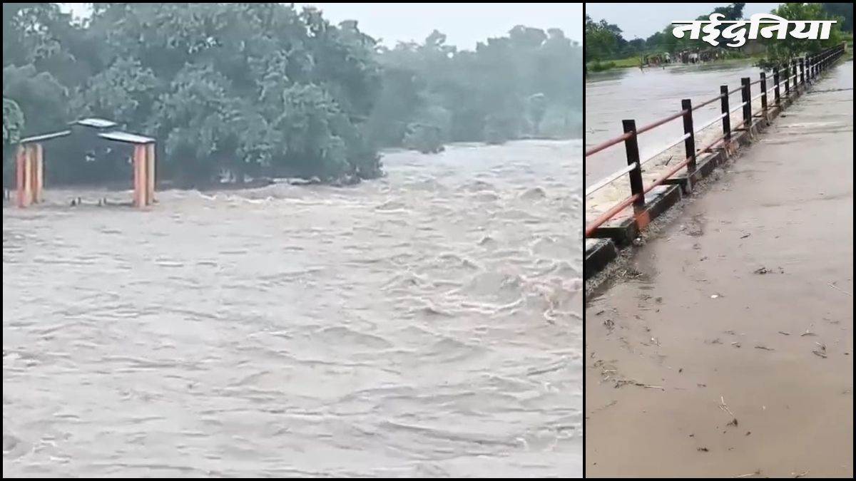 खेत बने तालाब, फसलों पर मंडराया संकट... शिवपुरी में औसत से ज्यादा बारिश, उफान पर महुअर नदी; 12 गांव जलमग्न