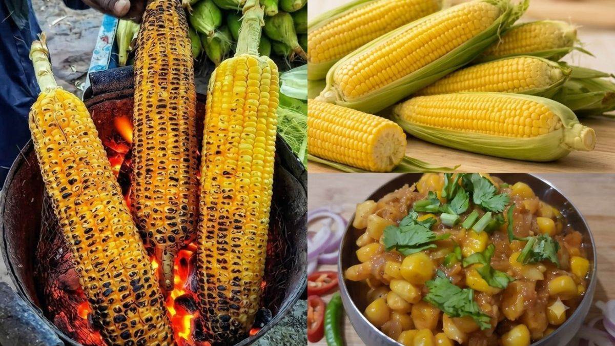 जबलपुर का स्वाद, बारिश की बूंदों के बीच चटपटे भुट्टे का स्वाद हर किसी की पहली पसंद