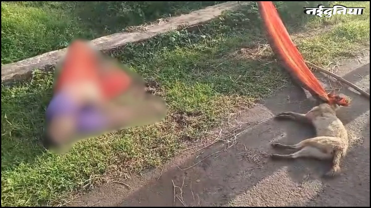 गजब की बहादुरी... सियार से काफी देर तक लड़ी महिला, साड़ी का फंदा बनाकर कर दिया खेल खत्म