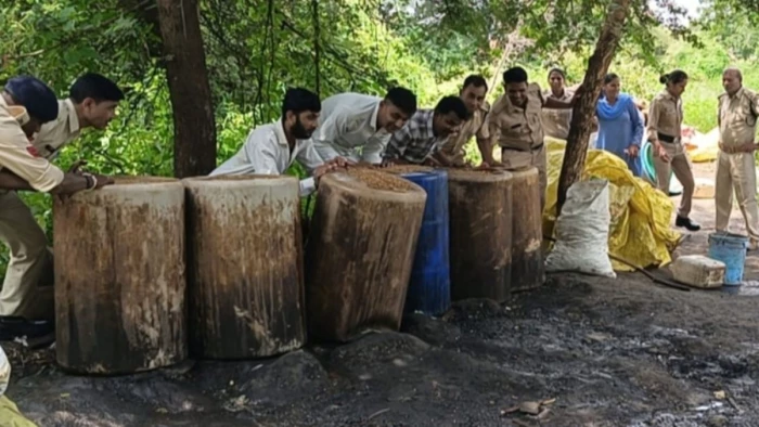 बड़वानी में 370.6 लीटर अवैध शराब जब्त, 33 आरोपी गिरफ्तार, 9.10 लाख का महुआ लहान किया नष्ट