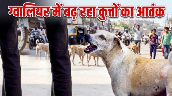 ग्वालियर में कुत्तों का आतंक, एक दिन में 189 लोगों को काटा, लोगों में दहशत