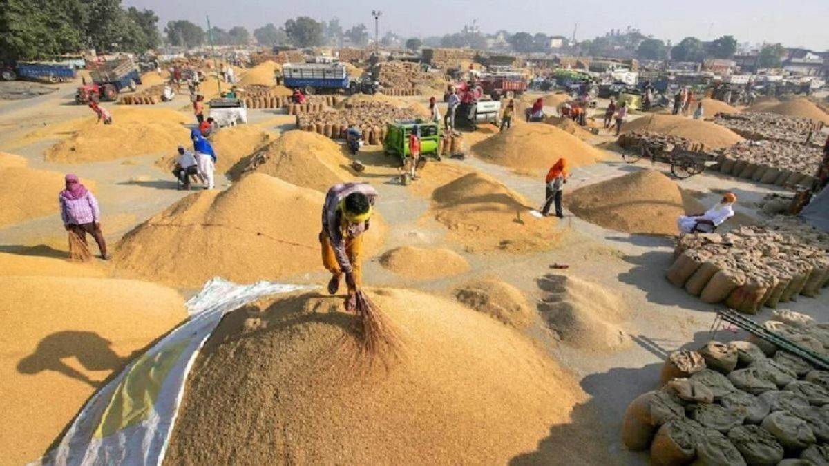 छत्तीसगढ़ के किसानों को बड़ी राहत, पूरे प्रदेश में खुलेंगे 354 नए धान उपार्जन केंद्र, बलरामपुर में मिले 5 धान उपार्जन केंद्र