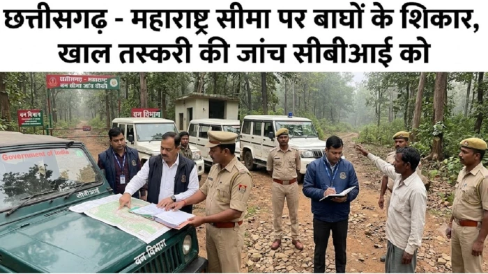 छत्तीसगढ़- महाराष्ट्र सीमा पर बाघों के शिकार की जांच सीबीआई को, पुलिस कर्मी भी जांच के दायरे में