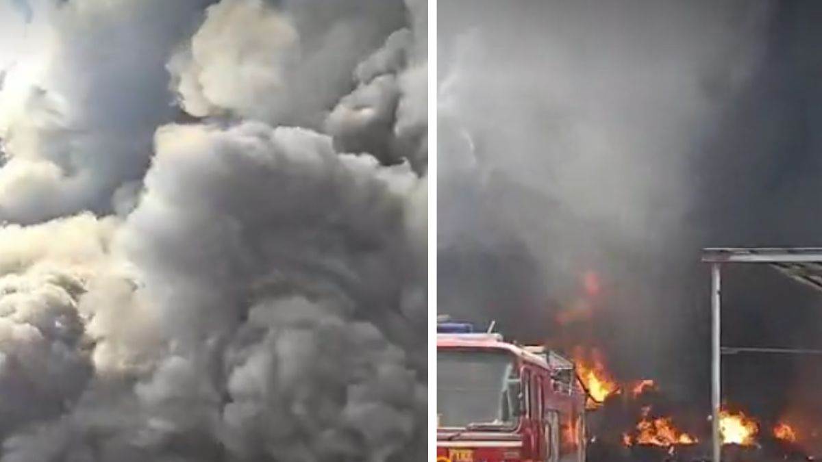 Bhilai fire News: केमिकल फैक्ट्री में भड़की भीषण आग, धमाकों से दहला इलाका, 50...