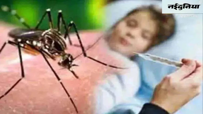 102 से 104 डिग्री तक पहुंच जाता है डेंगू का बुखार, शरीर पर लाल चकत्ते घटा सकते हैं प्लेटलेट्स