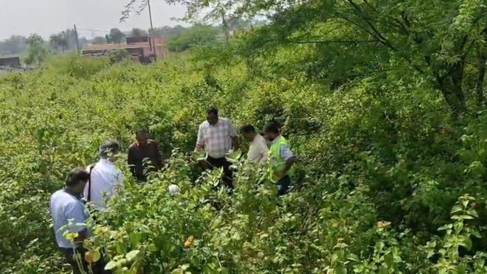 कटनी के कैमोर में ब्रिटिशकालीन फैक्ट्री का जहरीला कचरा हटेगा, मिट्टी और ग्राउंड वाटर के सैंपल लिए