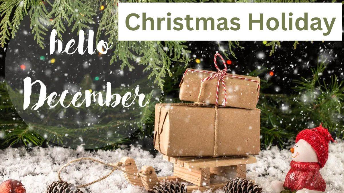 जबलपुर में इस बार क्रिसमस पर स्कूलों में नहीं होगी लंबी छुट्टी, सिर्फ 2 दो दिन का मिलेगा अवकाश