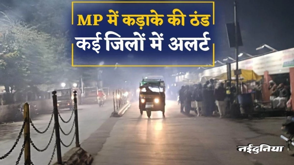 MP Weather Update: बर्फीली हवाओं से ठिठुरा मध्य प्रदेश... भोपाल, इंदौर सहित 8 जिलों में शीतलहर की चेतावनी जारी