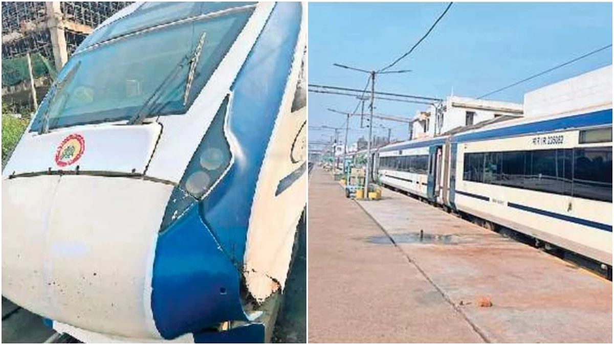 Indian Railway: वंदे भारत की रफ्तार पर मवेशी लगा रहे ब्रेक, बार-बार टकराने की घटनाओं से रेलवे और यात्री परेशान