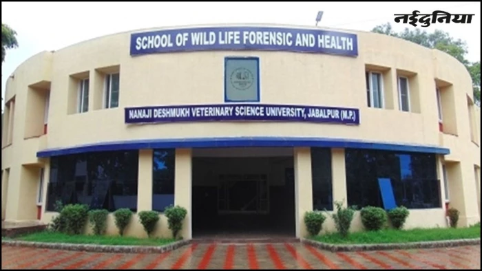 पंचगव्य प्रोजेक्ट के पैसों से किया गोवा का टूर, खरीदी महंगी गाड़ी