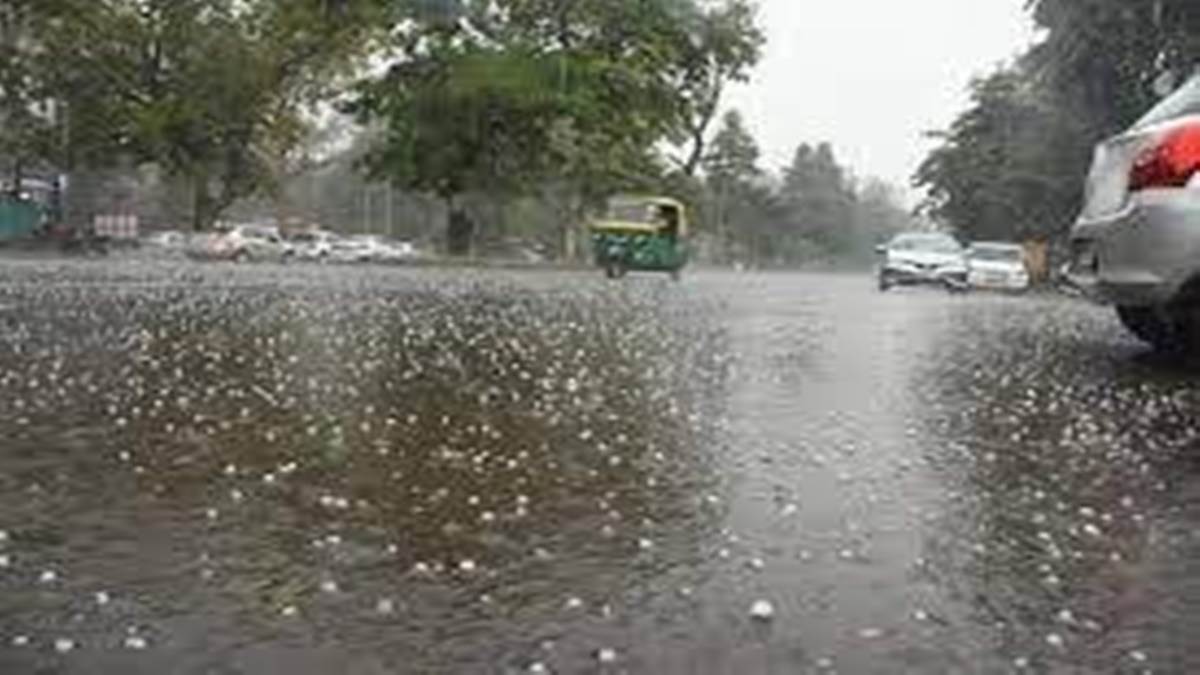 Gwalior Weather News ओलों से डबरा और घाटीगांव में सबसे ज्यादा फसलों को नुकसान Gwalior Weather