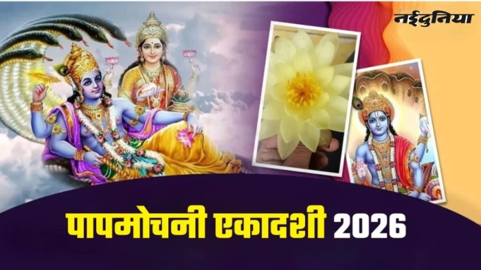 Papmochani Ekadashi: संतान सुख और स्वास्थ्य के लिए वरदान है 'संतान गोपाल स्तोत्र', पढ़ें शुभ मुहूर्त और पूजन विधि
