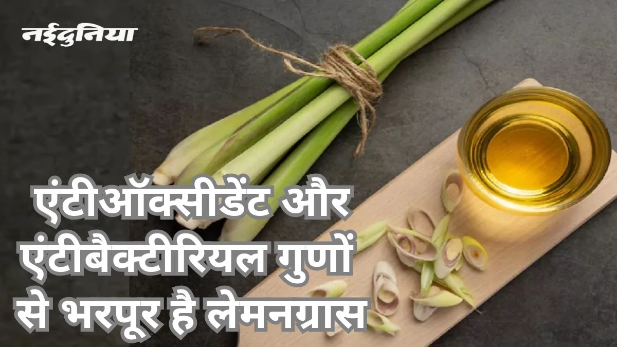 रोजाना डाइट में लेमनग्रास का करें इस्तेमाल, दूर हो जाएंगी सिर से लेकर पैर तक की कई समस्याएं